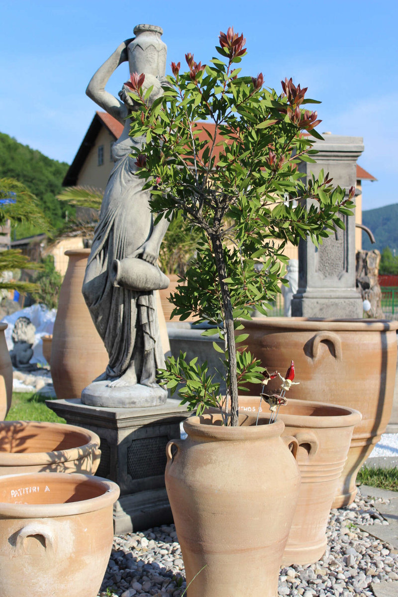 Keramiktöpfe von Kreta-Garden